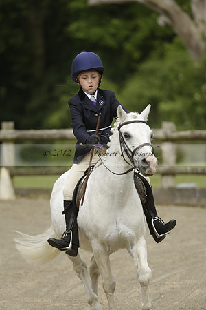 Wendy Sugden's pony show 2013.06.09