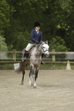 Wendy Sugden's pony show 2013.06.09