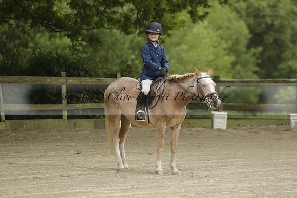 Wendy Sugden's pony show 2013.06.09