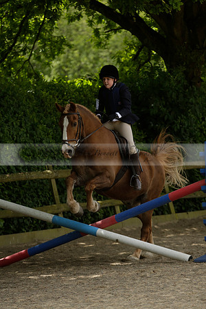 Wendy Sugden's pony show 2013.06.09 Grangefields Riding School