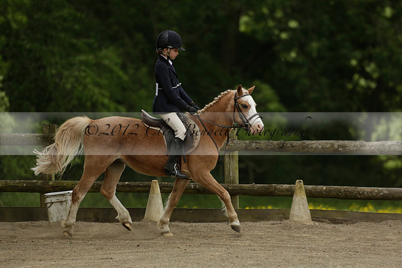 Wendy Sugden's pony show 2013.06.09