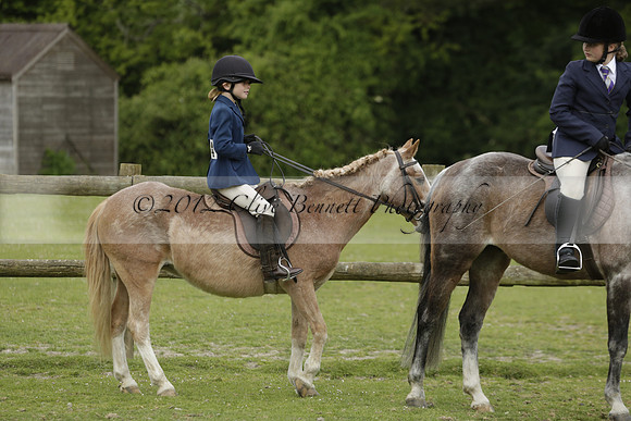 Wendy Sugden's pony show 2013.06.09