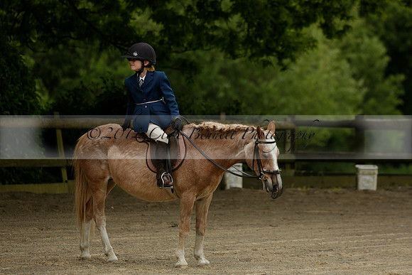 Wendy Sugden's pony show 2013.06.09