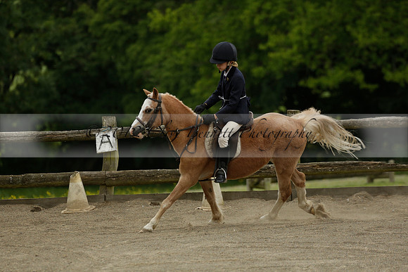 Wendy Sugden's pony show 2013.06.09
