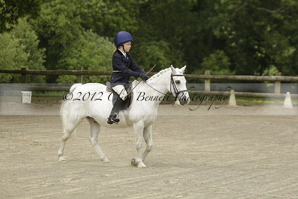 Wendy Sugden's pony show 2013.06.09
