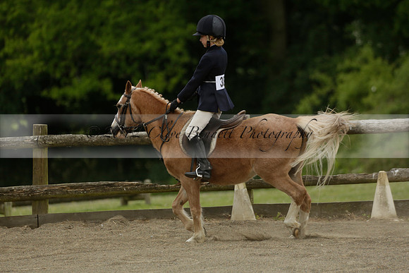 Wendy Sugden's pony show 2013.06.09