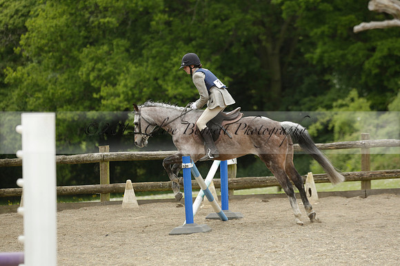 Wendy Sugden's pony show 2013.06.09 Grangefields Riding School