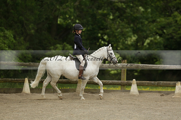 Wendy Sugden's pony show 2013.06.09