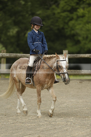 Wendy Sugden's pony show 2013.06.09
