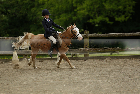 Wendy Sugden's pony show 2013.06.09