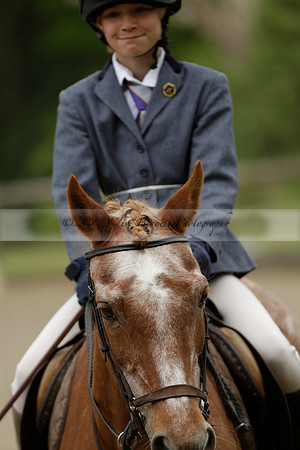 Wendy Sugden's pony show 2013.06.09