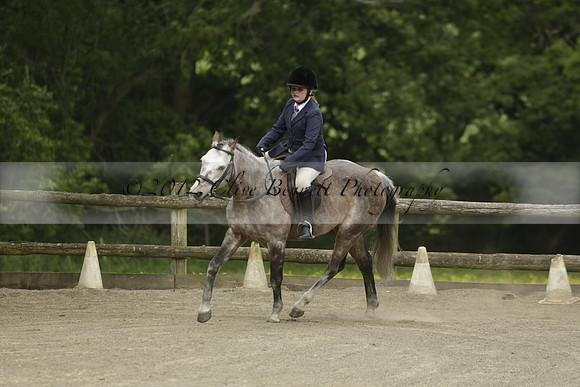 Wendy Sugden's pony show 2013.06.09
