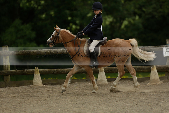 Wendy Sugden's pony show 2013.06.09