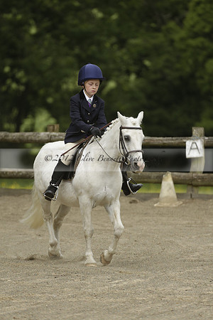 Wendy Sugden's pony show 2013.06.09