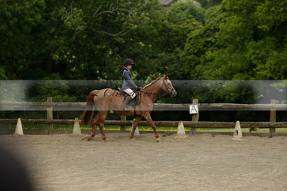 Wendy Sugden's pony show 2013.06.09