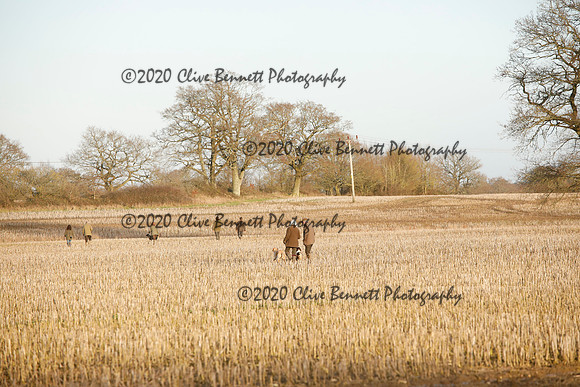 _CB_6491