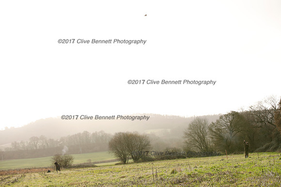 _CB_2529
