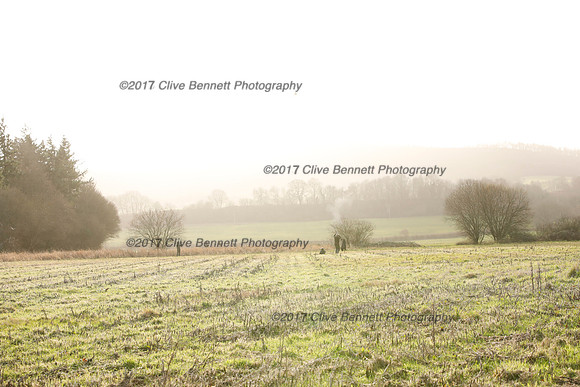 _CB_2509