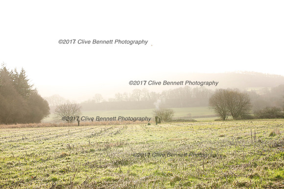 _CB_2508