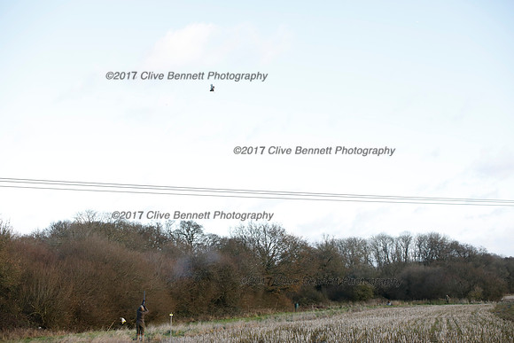 _CB_2379