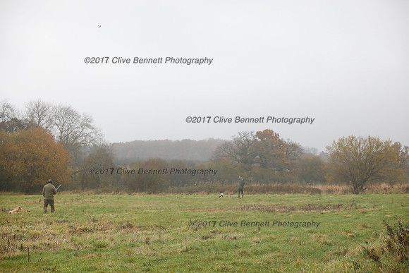 _CB_7448
