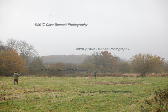 _CB_7450