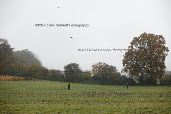 _CB_7496