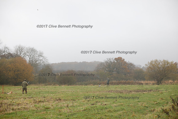 _CB_7447