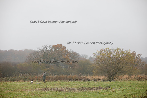 _CB_7453