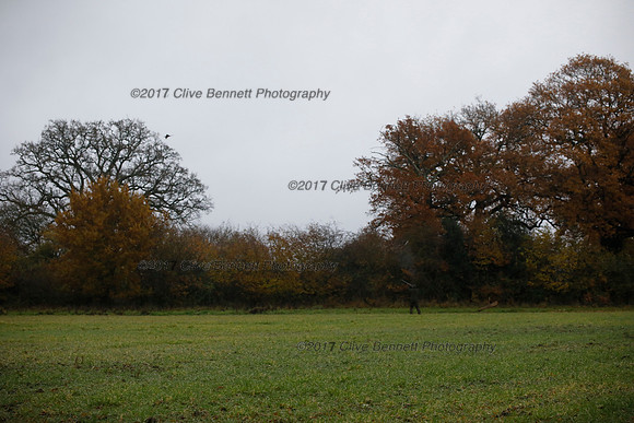 _CB_7605