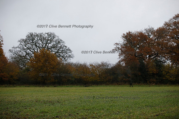_CB_7607