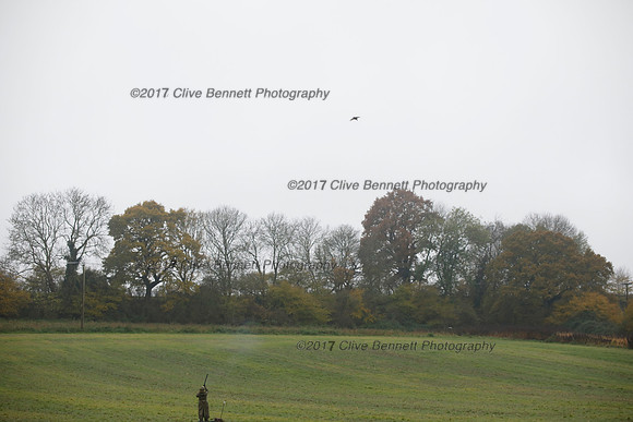 _CB_7469
