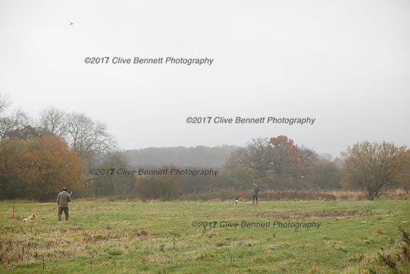 _CB_7446