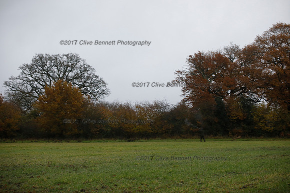 _CB_7606