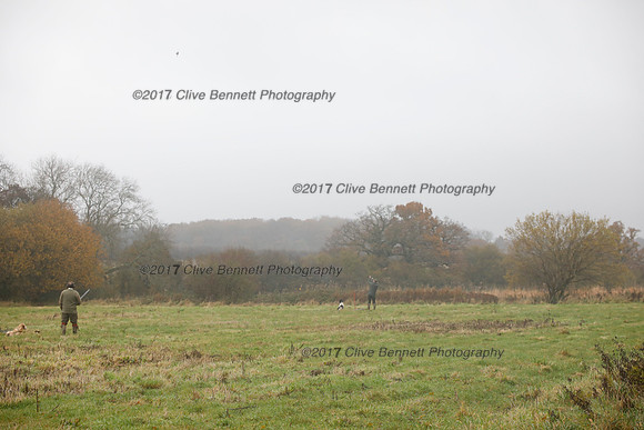 _CB_7449