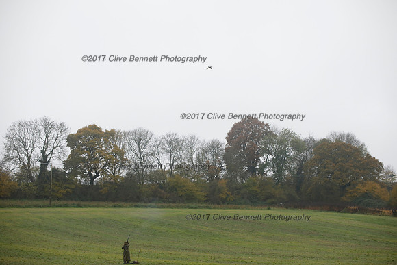 _CB_7470