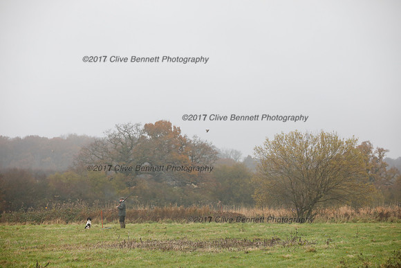 _CB_7454