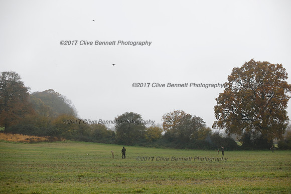 _CB_7495