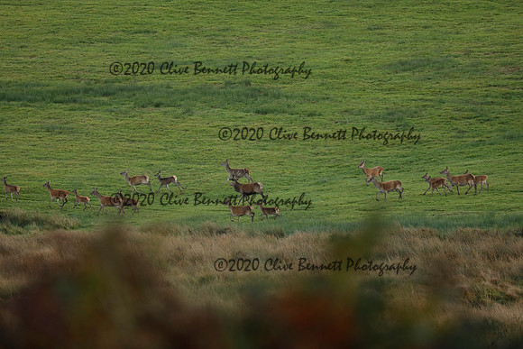 _CB_9055