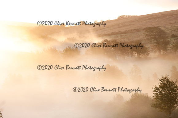 _CB_9104