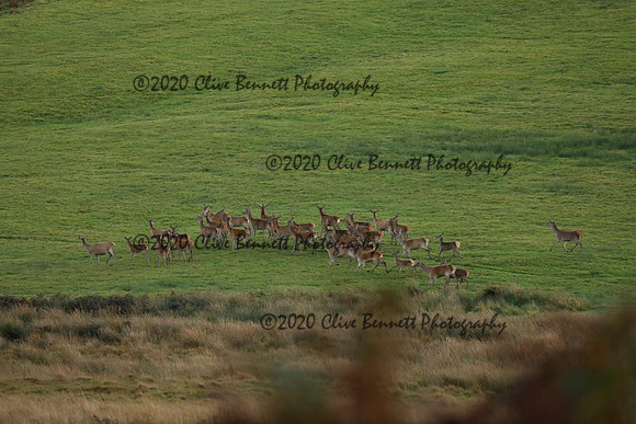 _CB_9057