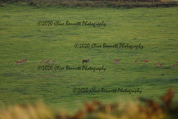 _CB_9040