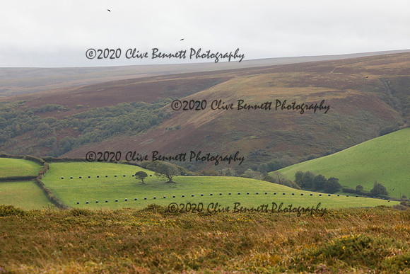 _CB_8957