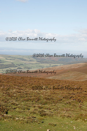 _CB_8520
