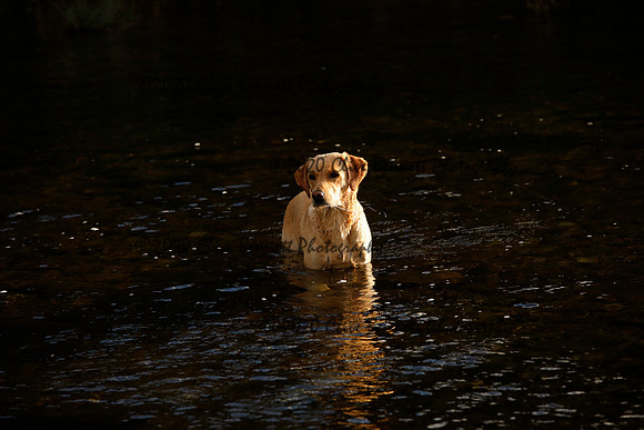 _CB_8241