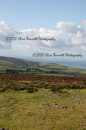 _CB_8564
