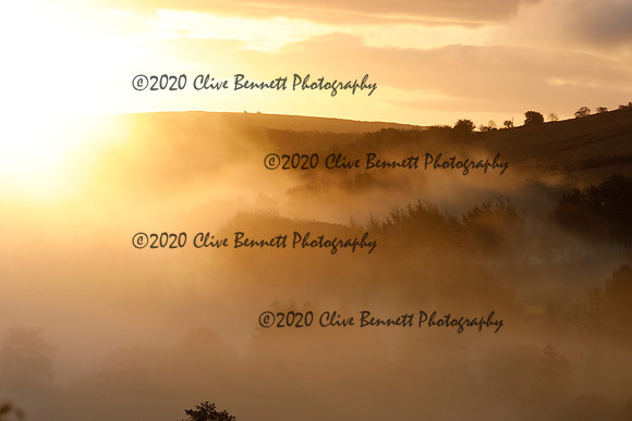 _CB_9107