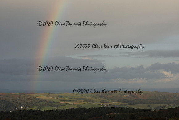 _CB_8181