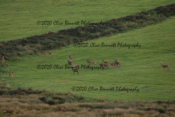 _CB_9092