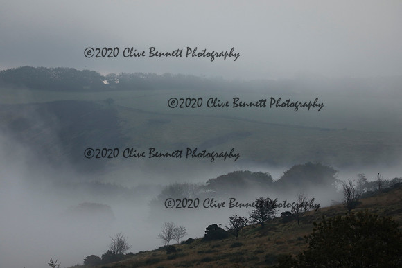 _CB_9121